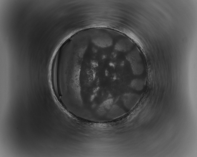 X0000093401088200710121054