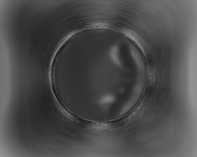 X0000093401090200710121054
