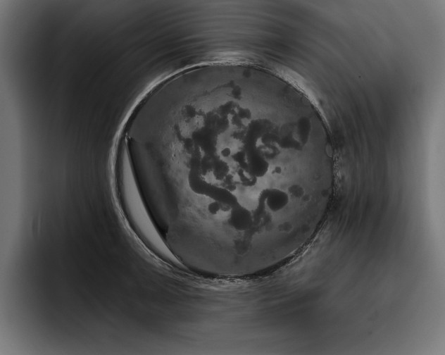 X0000093401091200710121054
