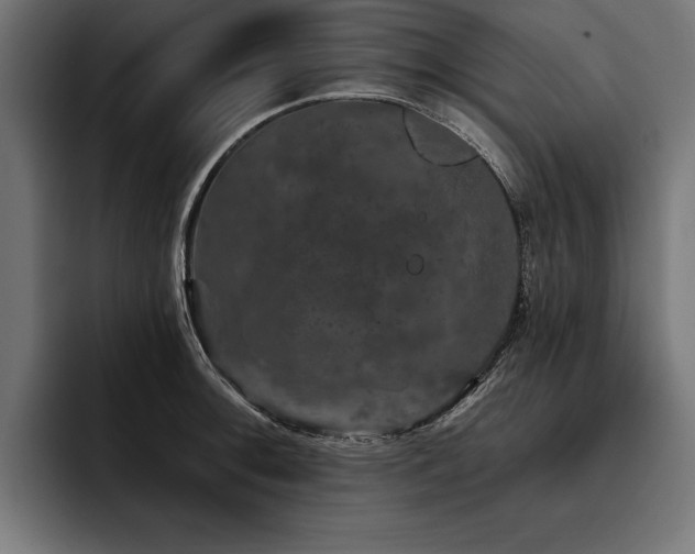 X0000093401092200710121054