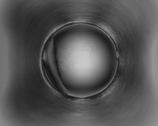 X0000093401093200710121054