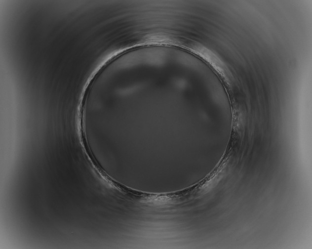 X0000093401094200710121054