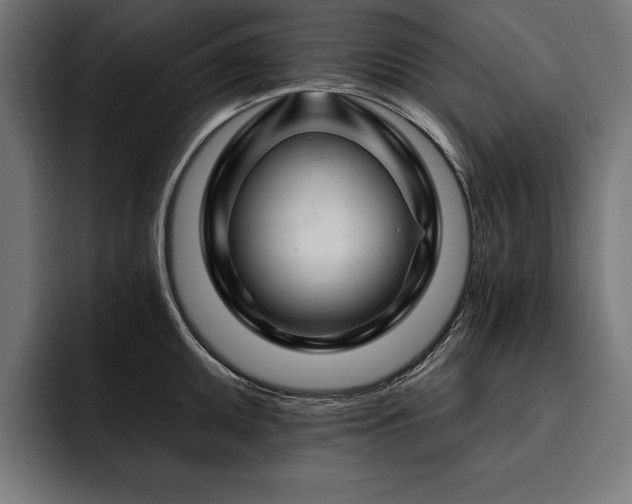 X0000093401095200710121054