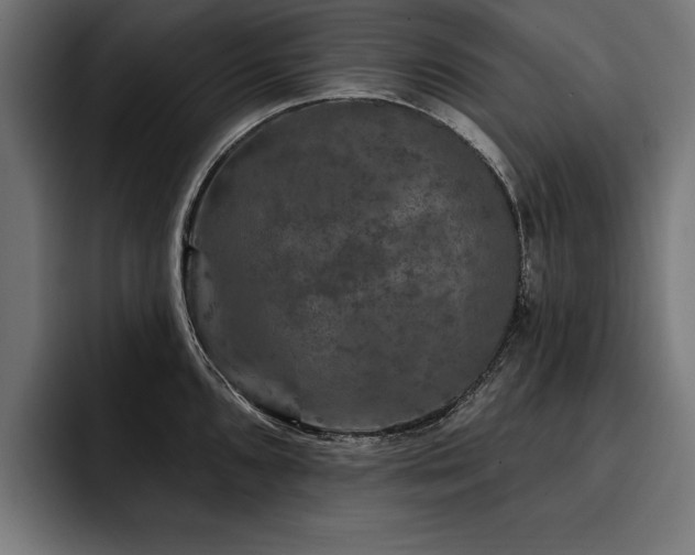 X0000093401096200710121054