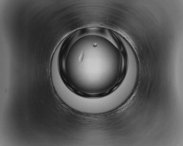 X0000093401097200710121054