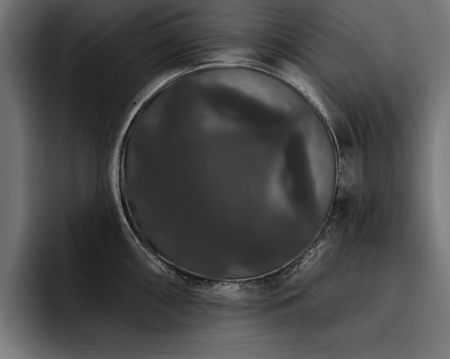 X0000093401098200710121054