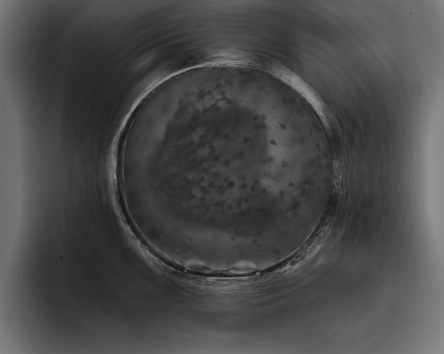 X0000093401099200710121054
