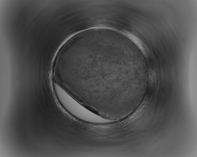 X0000093401100200710121054
