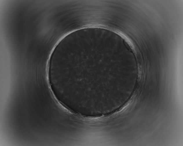 X0000093401102200710121054