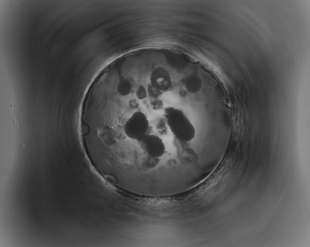 X0000093401103200710121054