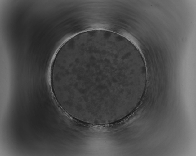 X0000093401104200710121054