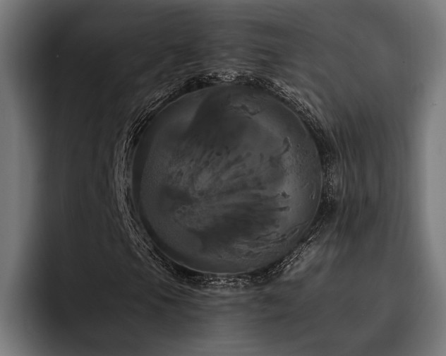 X0000093401105200710121053