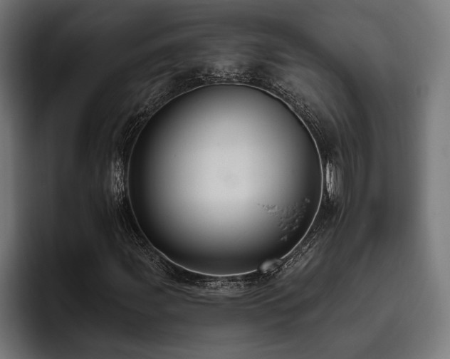 X0000093401107200710121053