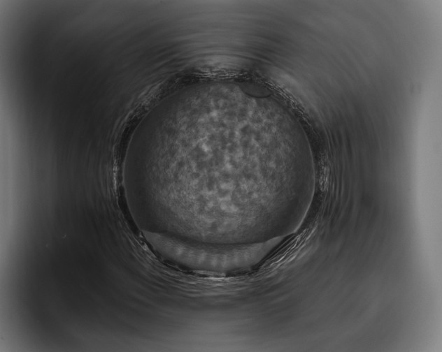 X0000093401108200710121053