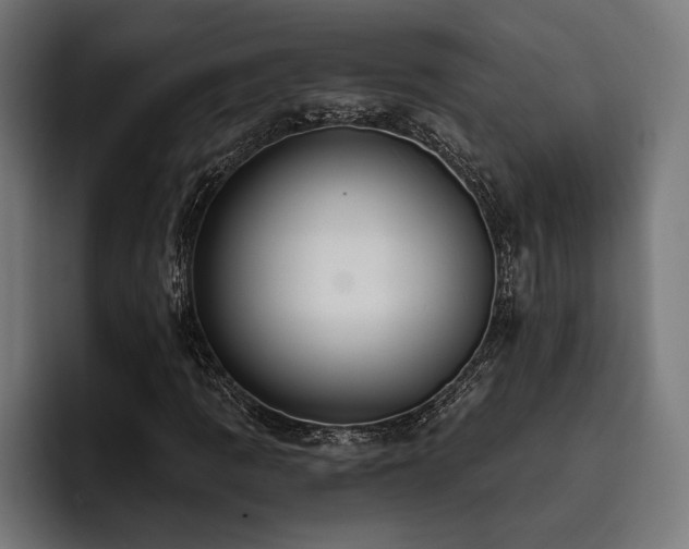 X0000093401109200710121053