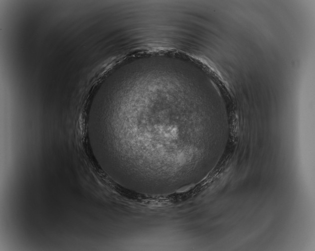 X0000093401110200710121053