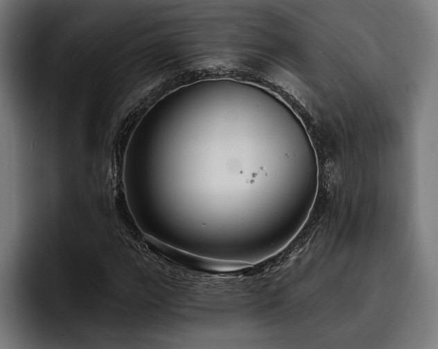 X0000093401111200710121053
