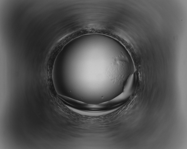 X0000093401112200710121053