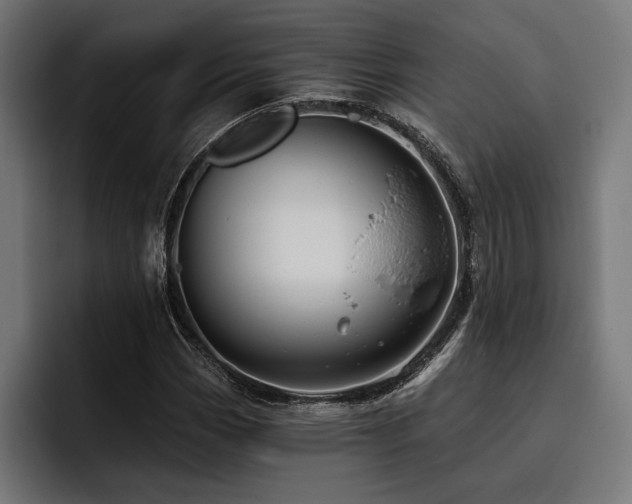X0000093401113200710121053