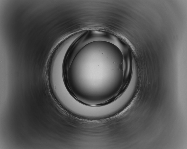X0000093401114200710121053