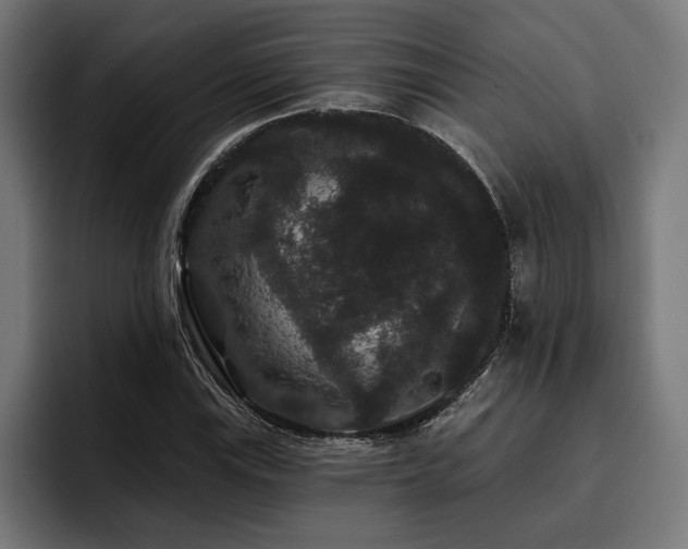 X0000093401115200710121053