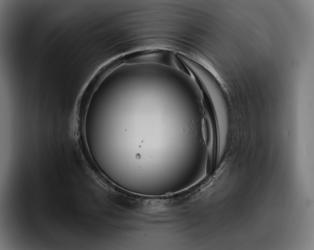 X0000093401116200710121053