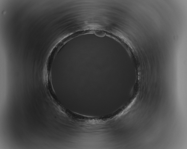 X0000093401117200710121053