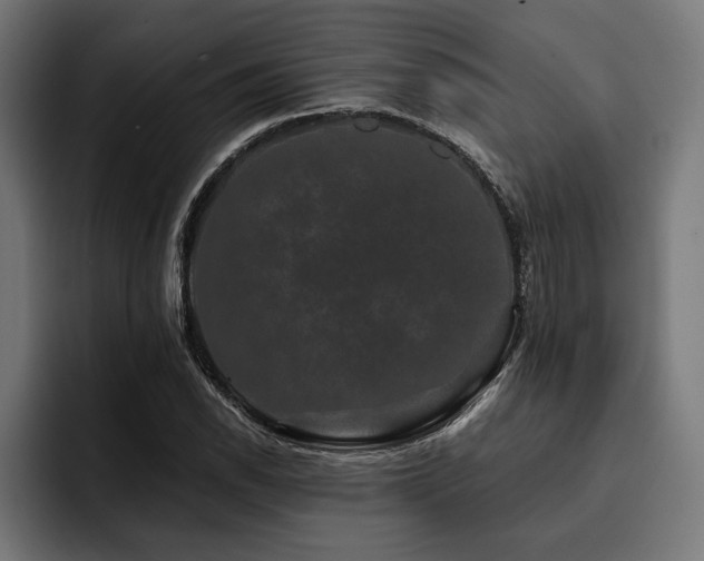 X0000093401118200710121053