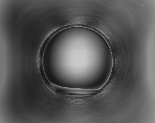 X0000093401119200710121053
