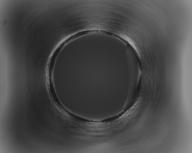 X0000093401120200710121053
