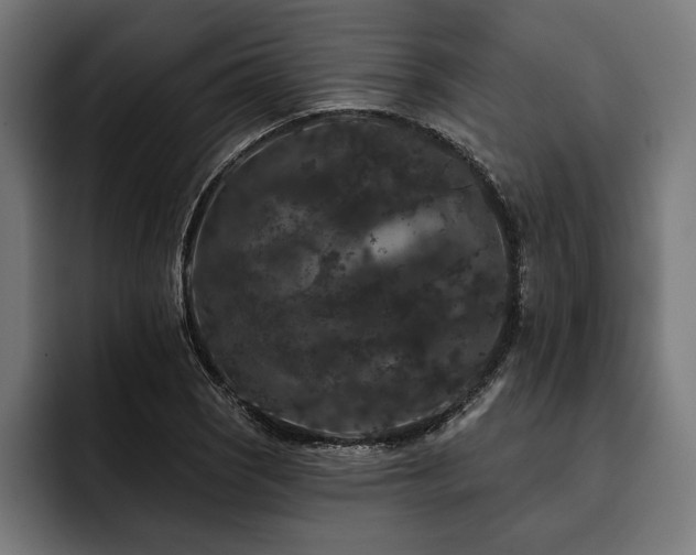 X0000093401121200710121053