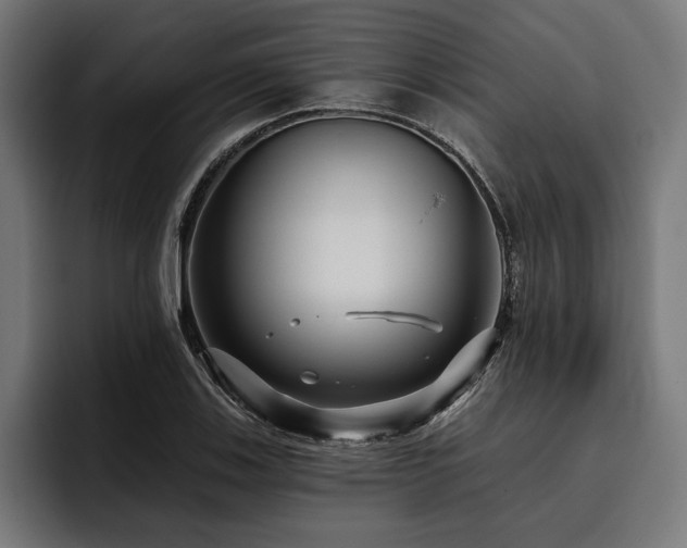 X0000093401123200710121053