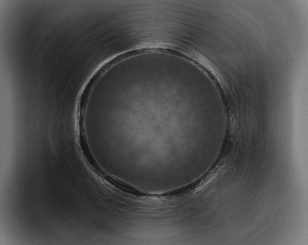 X0000093401124200710121053