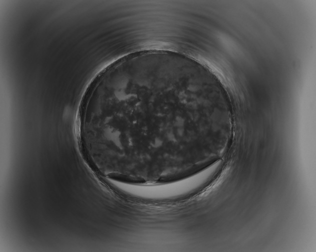 X0000093401125200710121053