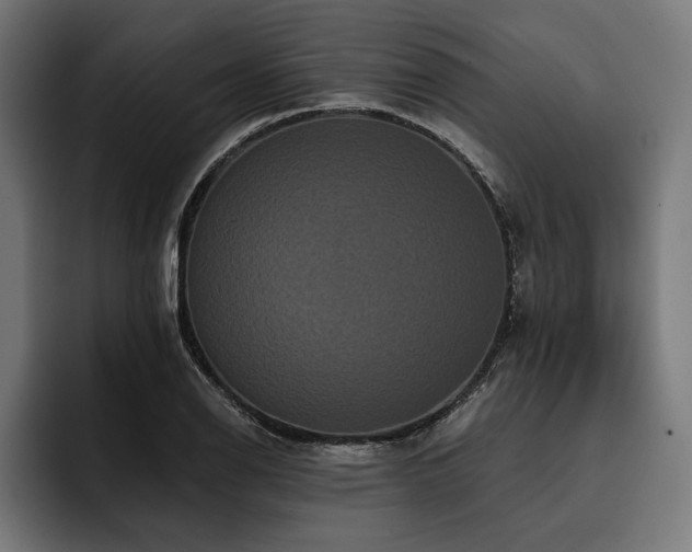 X0000093401126200710121053