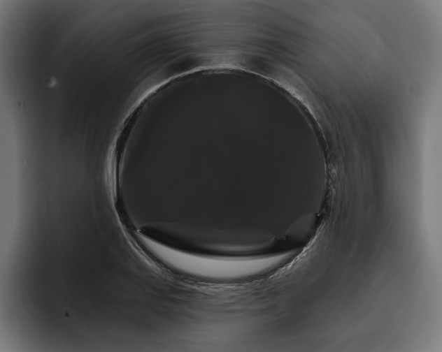 X0000093401127200710121053