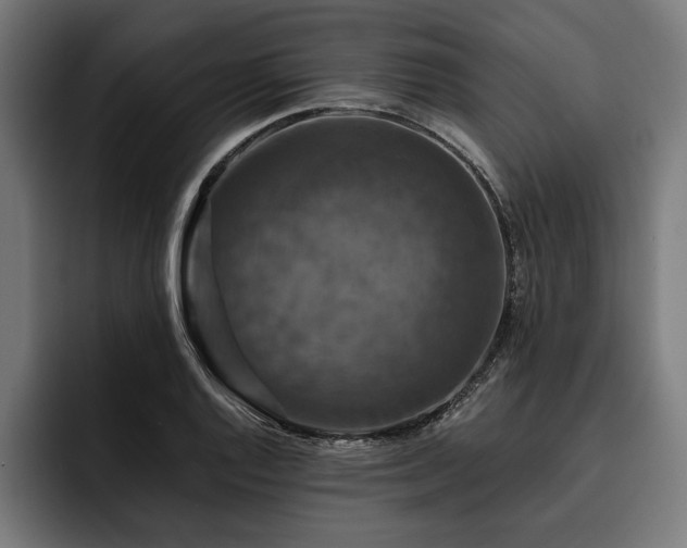 X0000093401128200710121053