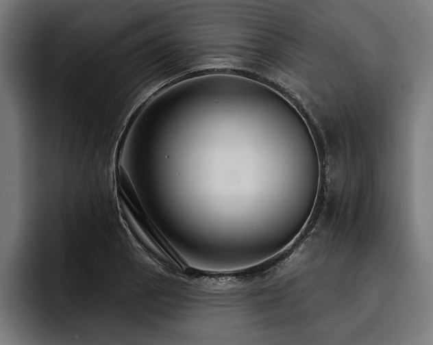 X0000093401129200710121053