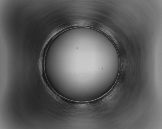 X0000093401130200710121053