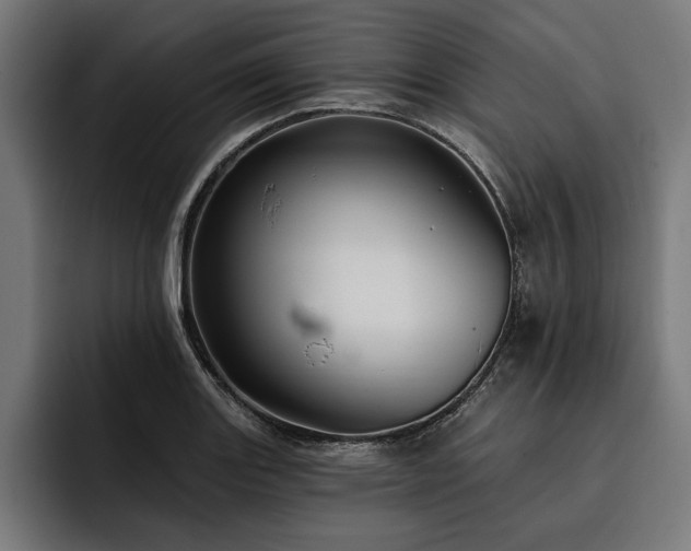 X0000093401131200710121053