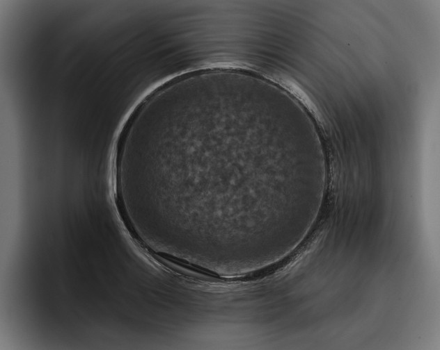 X0000093401132200710121054