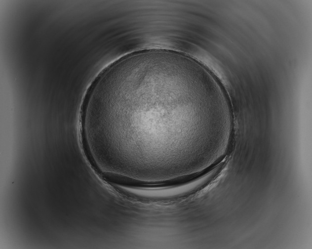 X0000093401133200710121054