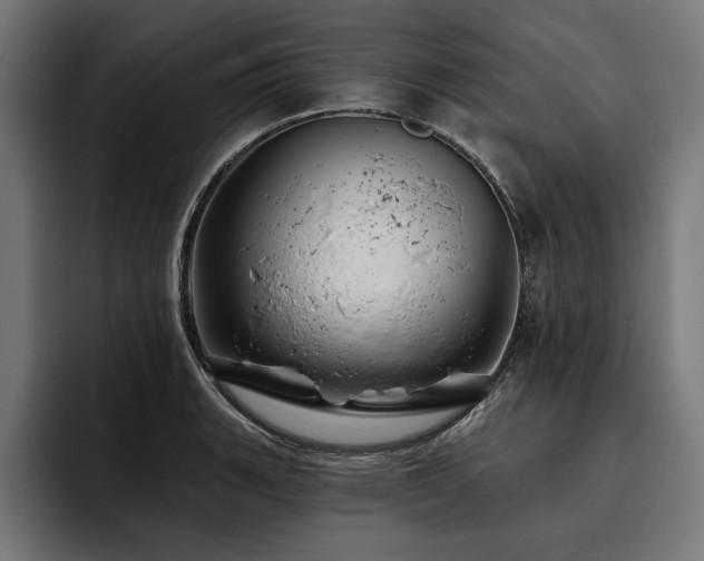X0000093401135200710121054