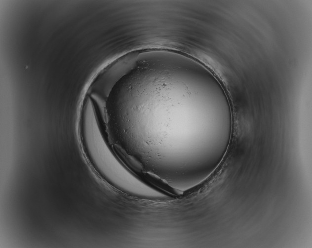 X0000093401136200710121054