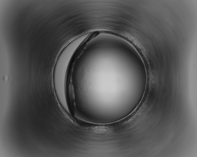 X0000093401137200710121054