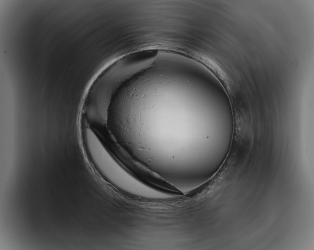 X0000093401138200710121054