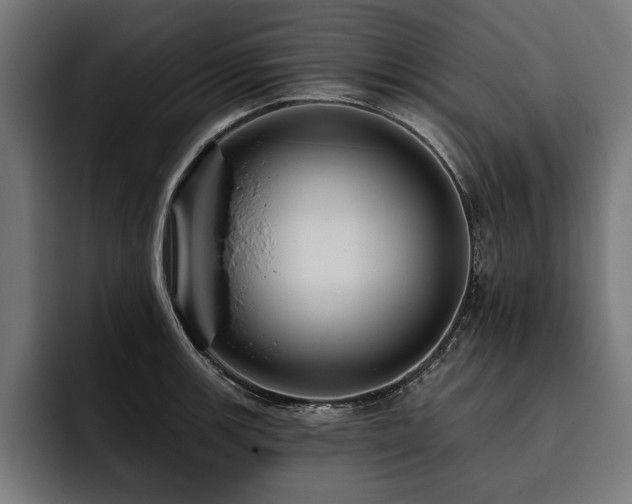 X0000093401139200710121054