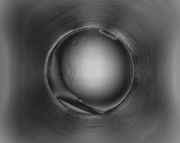 X0000093401140200710121054