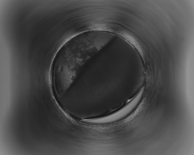 X0000093401141200710121054