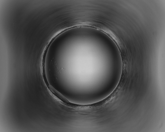 X0000093401143200710121054